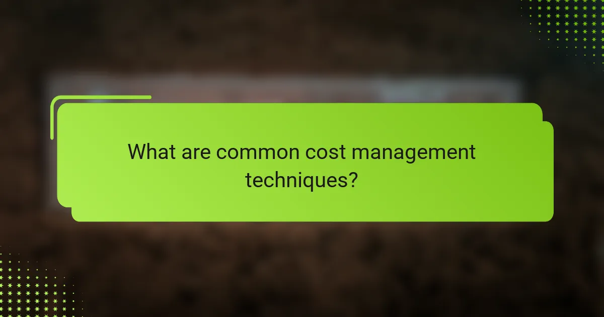 What are common cost management techniques?