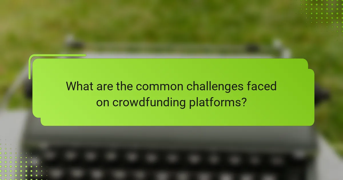 What are the common challenges faced on crowdfunding platforms?