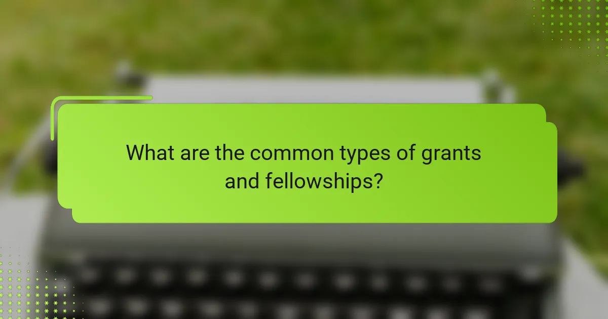 What are the common types of grants and fellowships?