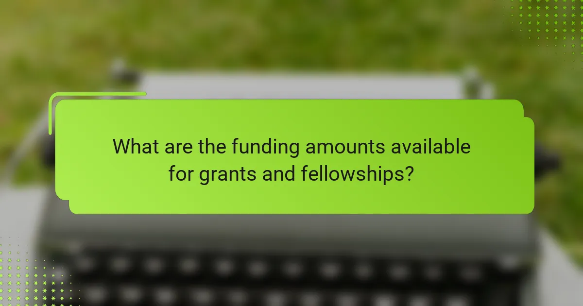 What are the funding amounts available for grants and fellowships?