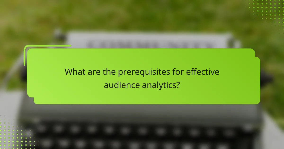 What are the prerequisites for effective audience analytics?